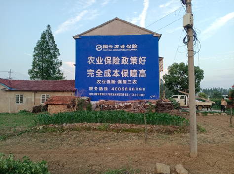 镇安墙体广告的优劣势你知道吗？