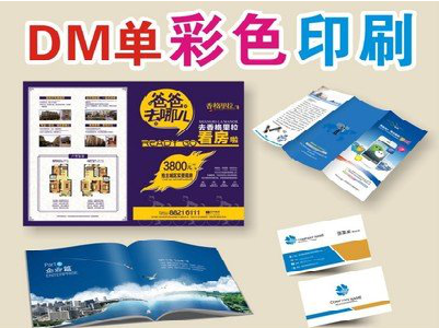 镇安单页印刷，色彩搭配简单。